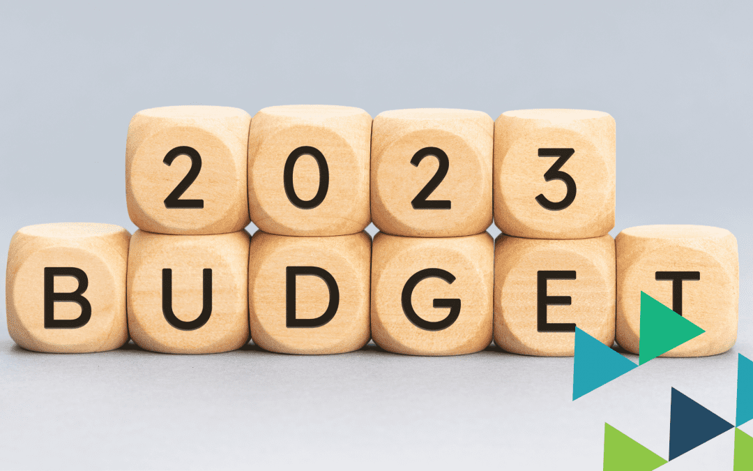 2023 Budget Breakdown by TSP Accountants